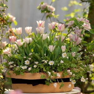 5 kreatywnych sposobów na wykorzystanie kwiatów cebulowych w twojej kwiaciarni