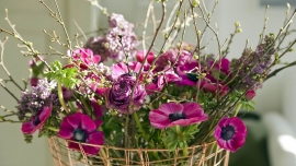 Jakie kwiaty są idealne do wiosenny aranżacji?