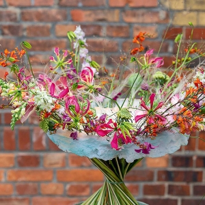 Najnowszy numer NDIO-flora!