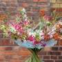 Najnowszy numer NDIO-flora!