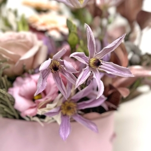 Jak stworzyć flowerbox na Dzień Kobiet? Mistrzowska kompozycja Macieja Krzusa