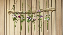 Byliny wznoszą się na wyżyny. Stylowe pomysły na wiszące pelargonie