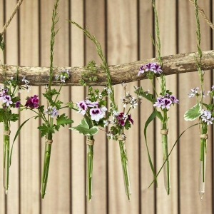 Byliny wznoszą się na wyżyny. Stylowe pomysły na wiszące pelargonie