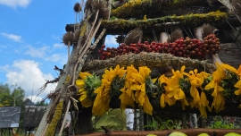 Szlakiem Ekokultury - V plenerowa wystawa inspirowana Land Artem w Dołujach
