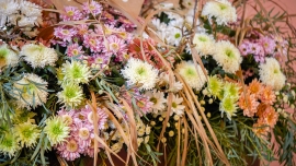 Nowa rola chryzantemy: od symbolu żałoby do kwiatu codziennej florystyki