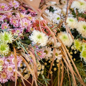 Nowa rola chryzantemy: od symbolu żałoby do kwiatu codziennej florystyki