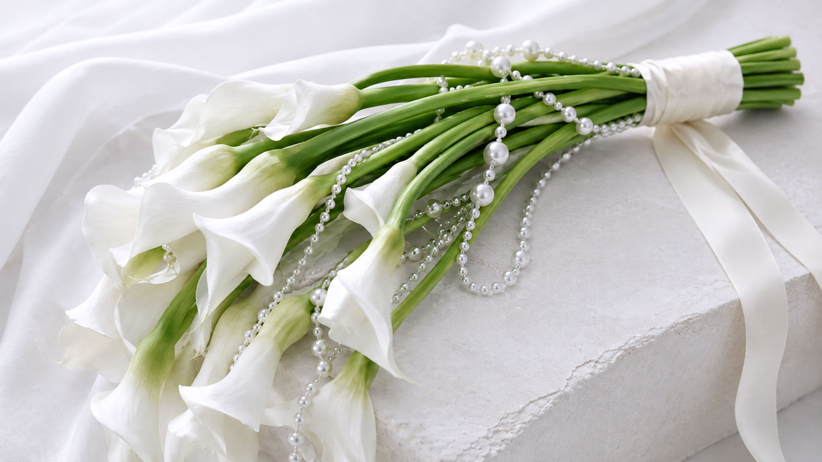 calla, cantedeskia